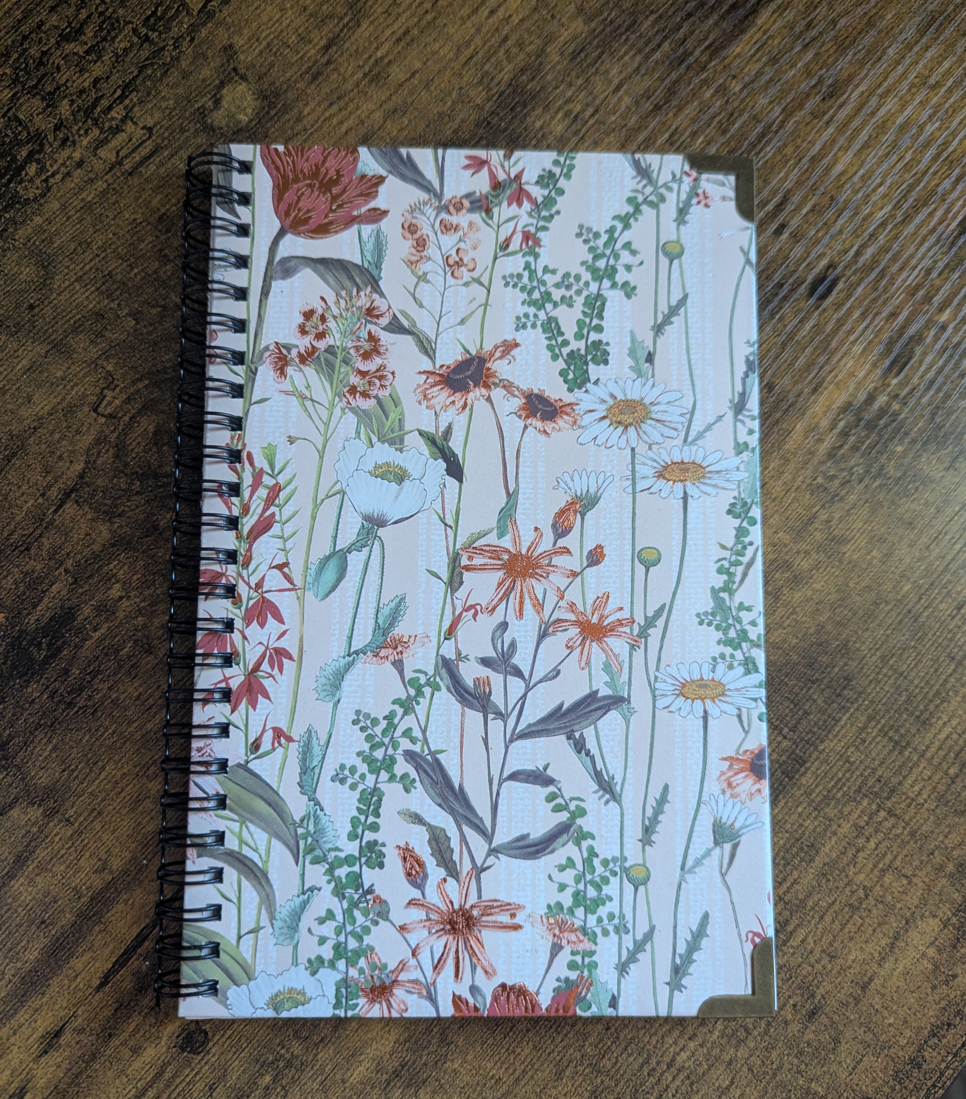 Cosy Notes: Signature Journal (lined)