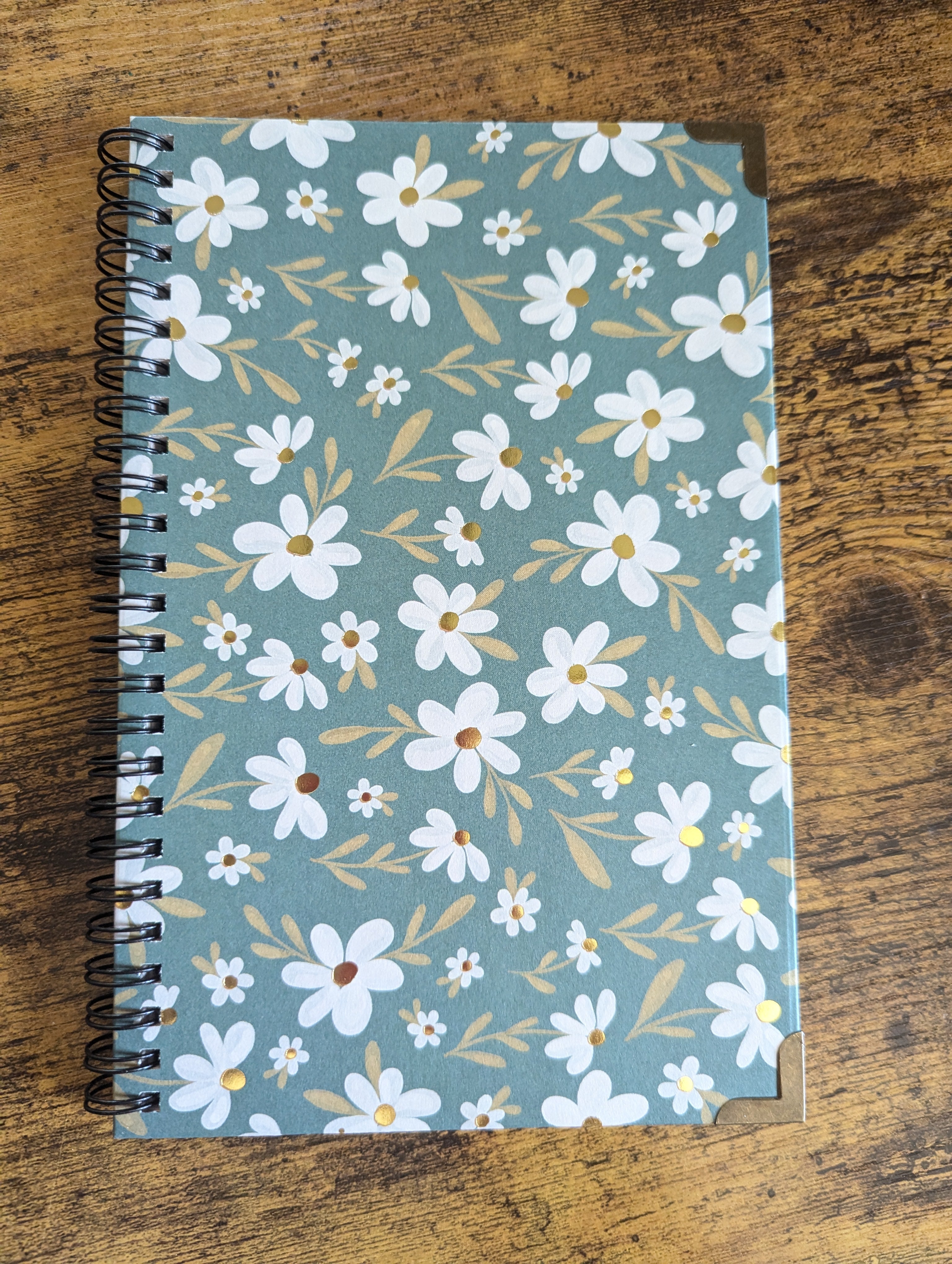 Cosy Notes: Signature Journal (lined)