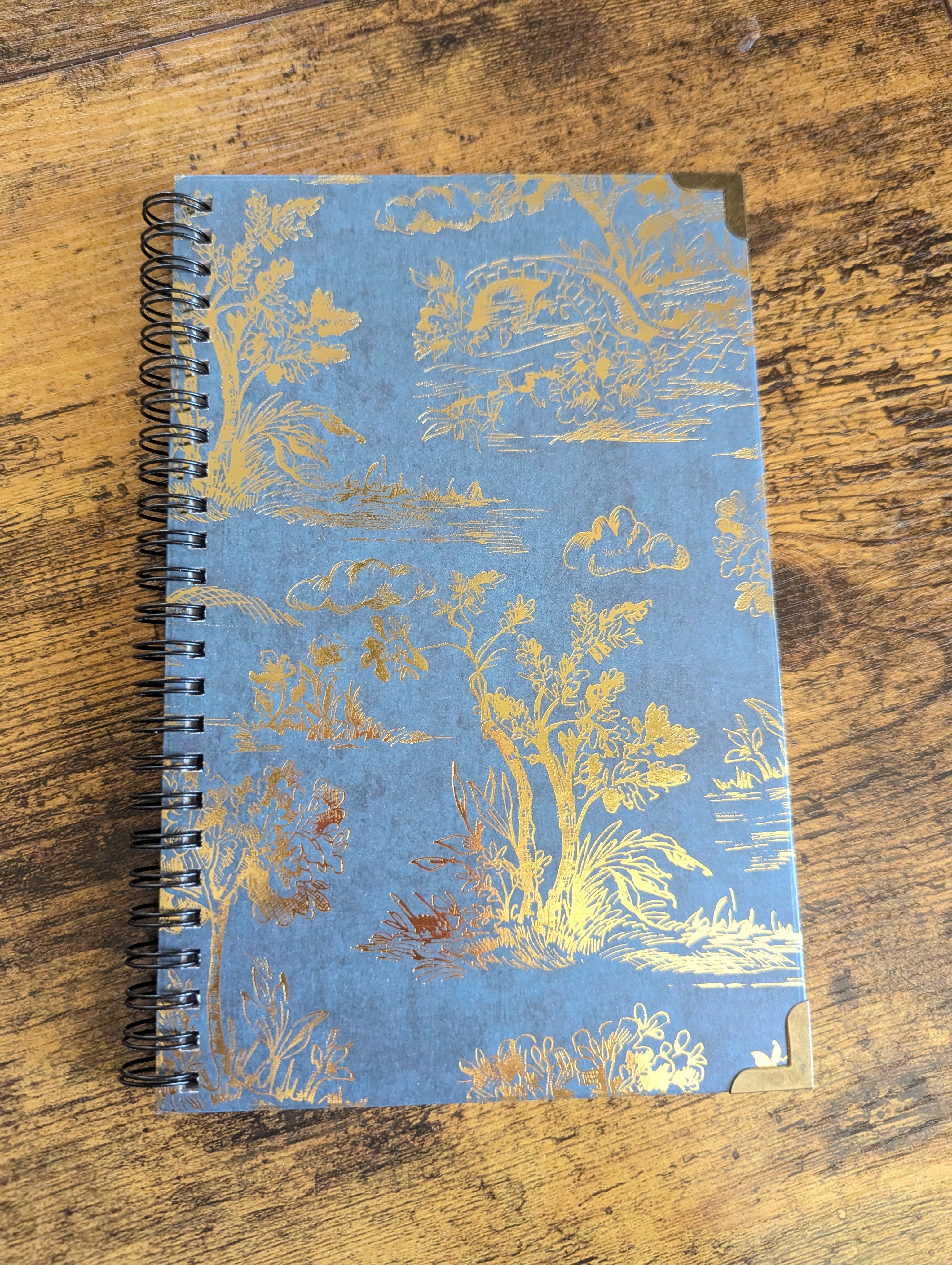 Cosy Notes: Signature Journal (lined)