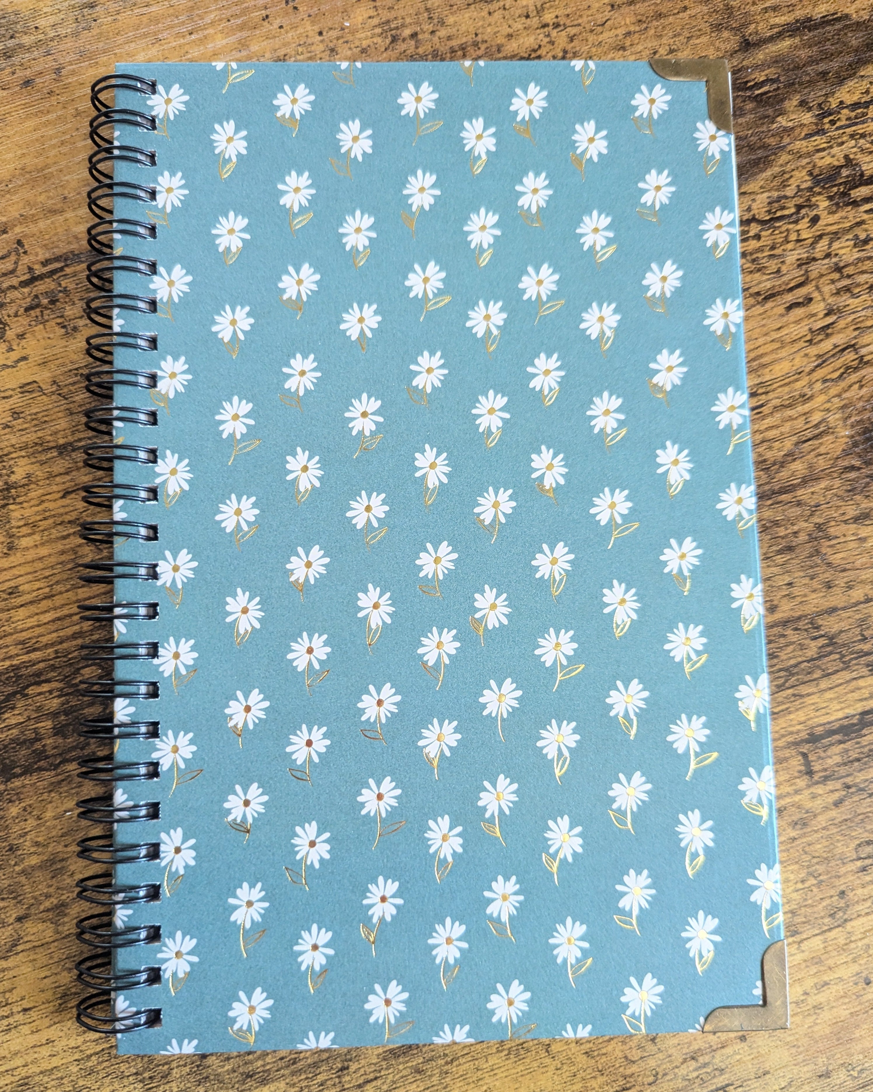 Cosy Notes: Signature Journal (lined)